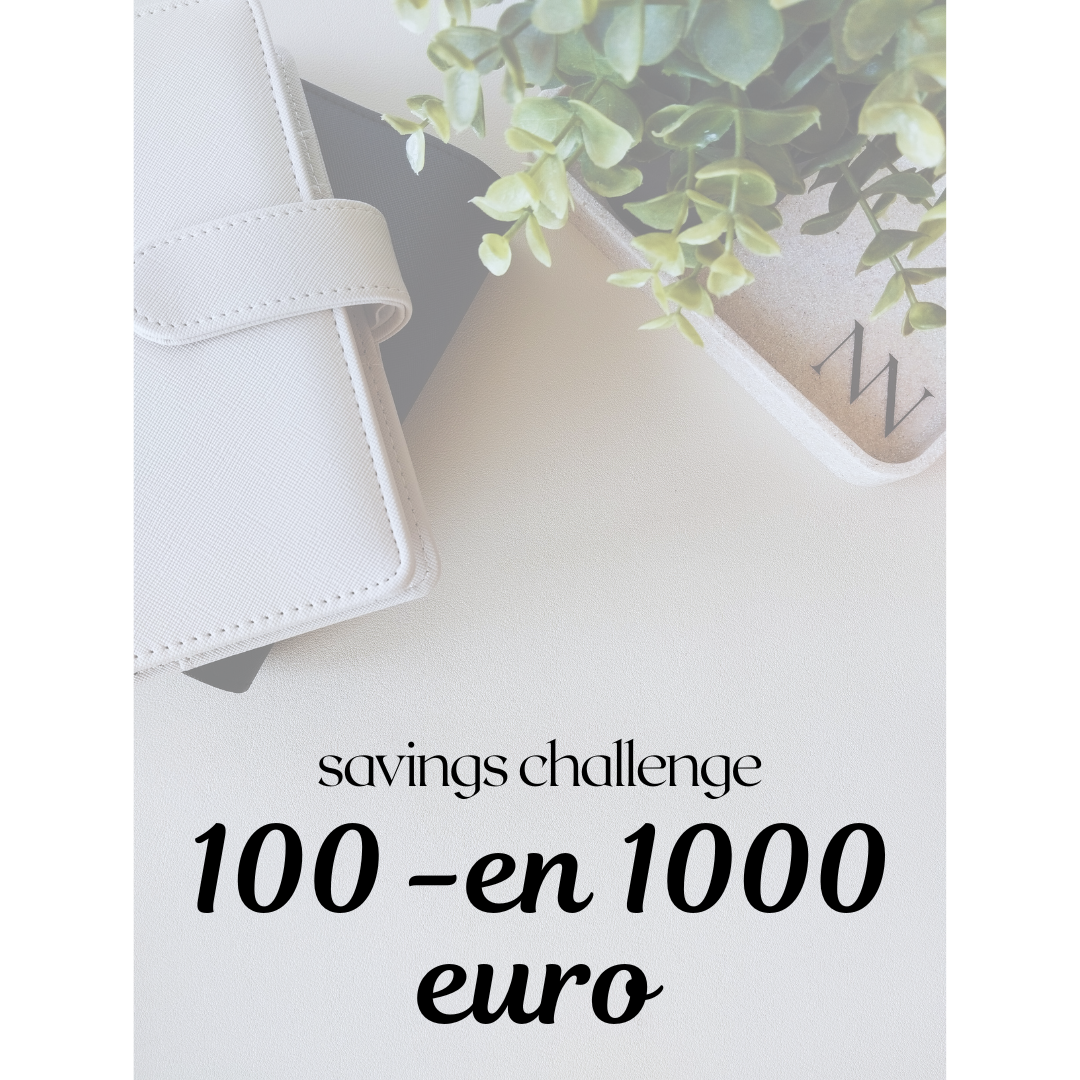 Savings Challenge: 100 -en 1000 euro