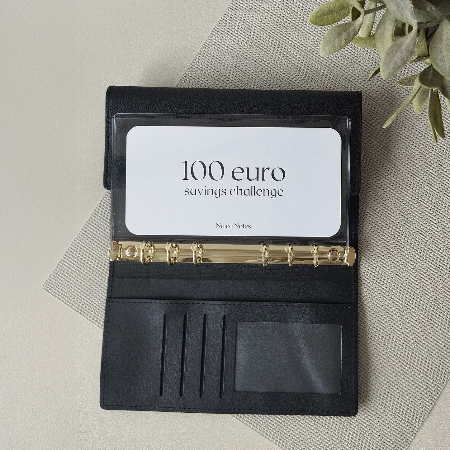 Savings Challenge: 100 -en 1000 euro