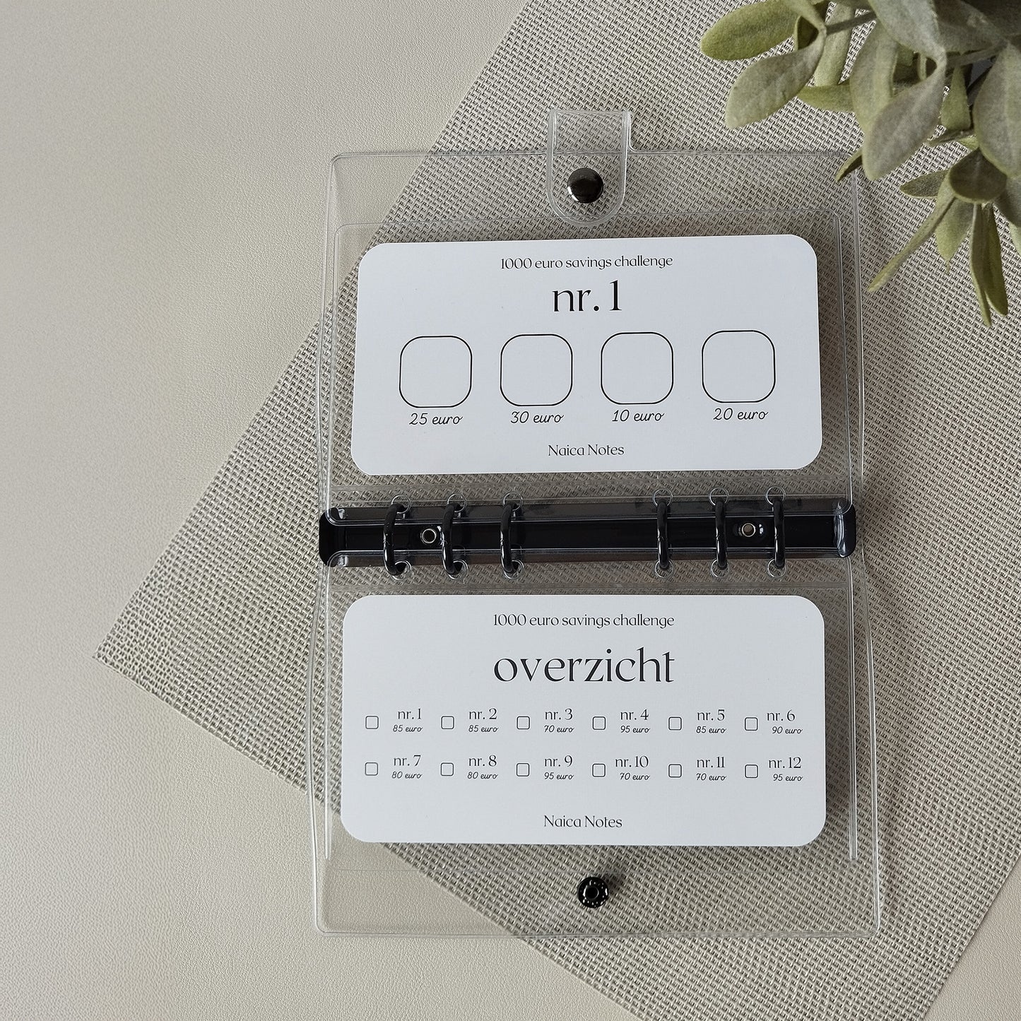 Savings Challenge: 100 -en 1000 euro