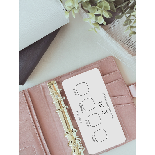 Savings Challenge: 100 -en 1000 euro