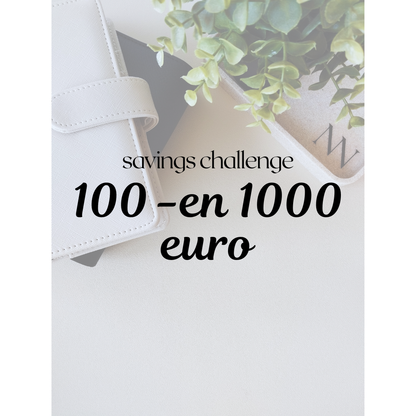 Savings Challenge: 100 -en 1000 euro