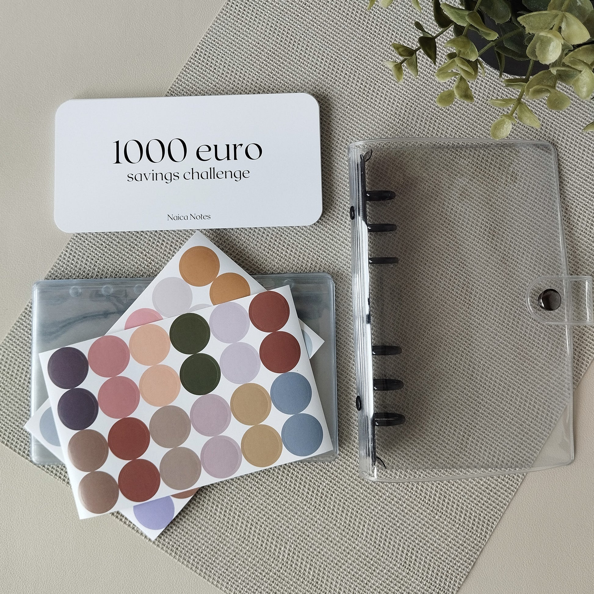 Starterspakket savings challenge met nola budget binder en stickers