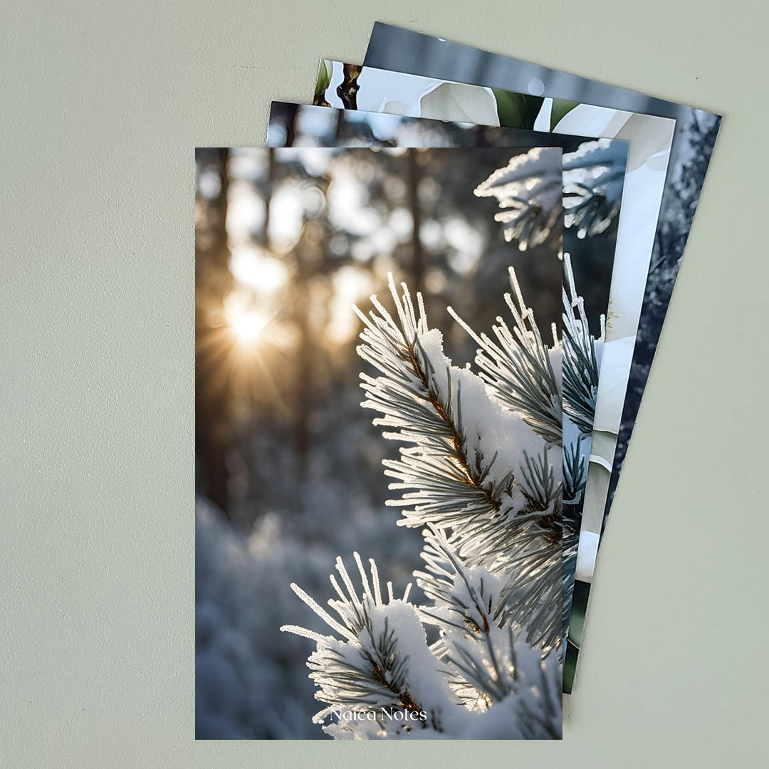 Dashboard: Sunlit Snow