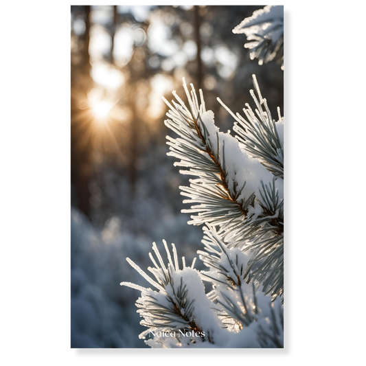 Dashboard: Sunlit Snow