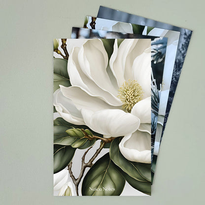Dashboard: Dreamy Bloom