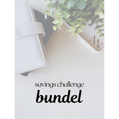 Savings Challenge Bundel