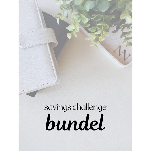 Savings Challenge Bundel