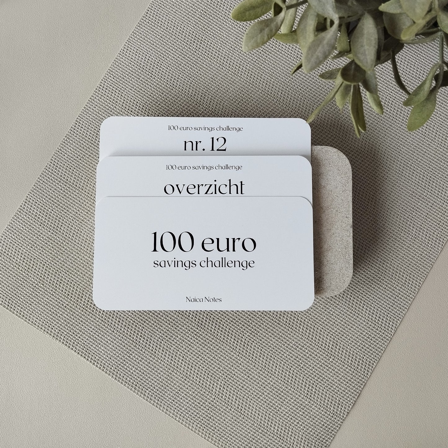 Savings Challenge: 100 -en 1000 euro