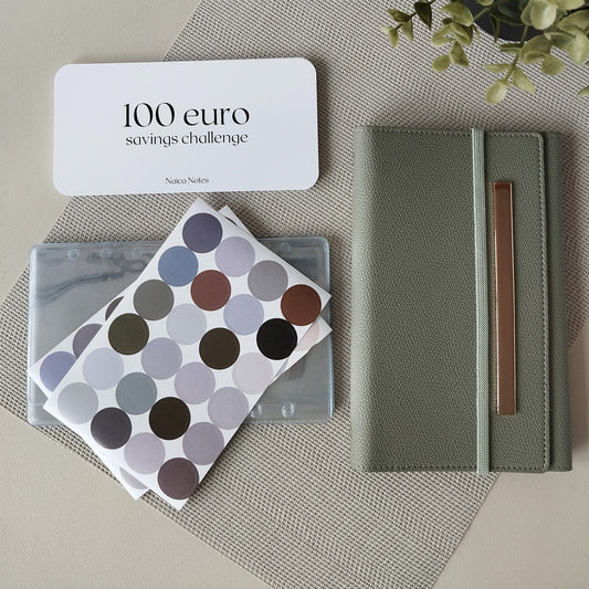Savings challenge starterspakket – compleet met budget binder, cash envelopes en stickers