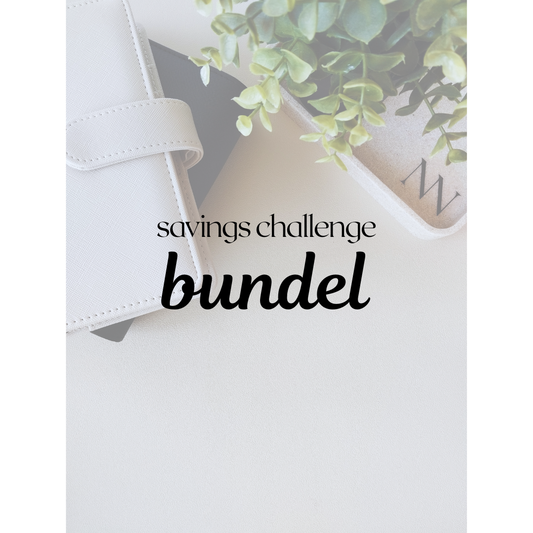 Savings Challenge Bundel